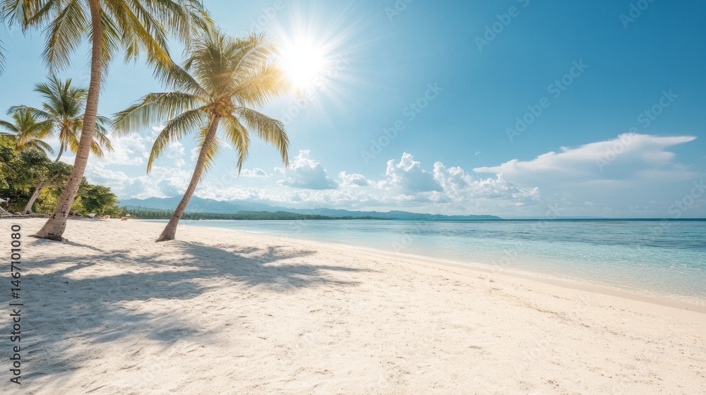 Fototapeta premium Idyllic Tropical Beach Scene White Sand Beach Palm Trees Sunny Day Ocean View