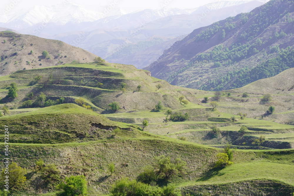 Fototapeta premium Chokha terraces covered with green vegetation. Mountainous region of Dagestan.