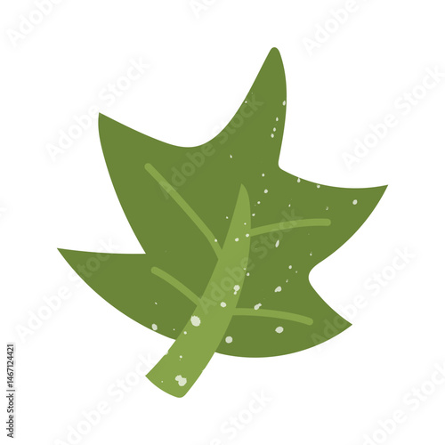 green maple leaf with a texture. Flat color isolated illustration with doodle elements. Greenery in the garden. Suitable for decorating children's and nature projects, prints, packaging, blogs