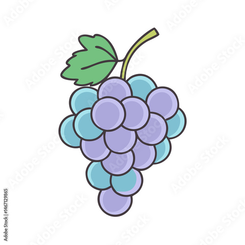 Illustration of a bunch of grapes fruit, healthy grapes, purple grapes, sweet grapes, grape vine