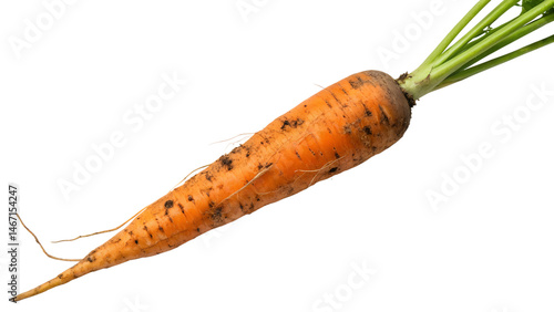 A freshly harvested carrot with its green top still attached, showcasing its vibrant orange color and earthy texture