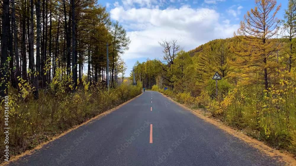 Experience the beauty of autumn on Inner Mongolia Highway with stunning views Experience the beauty of autumn on Inner Mongolia Highway with stunning views