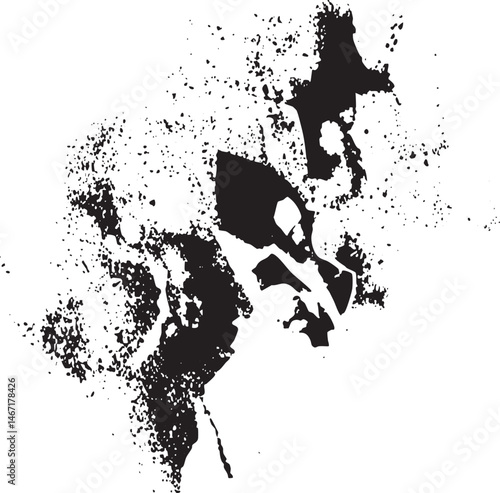 A fragmented abstract portrait emerges from a textured black and white composition.