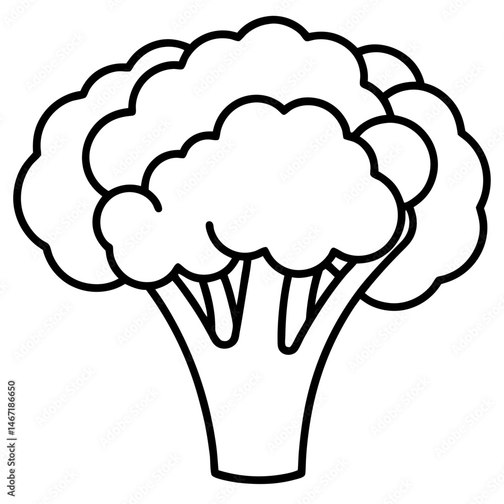 Broccoli icon vector Broccoli icon vector