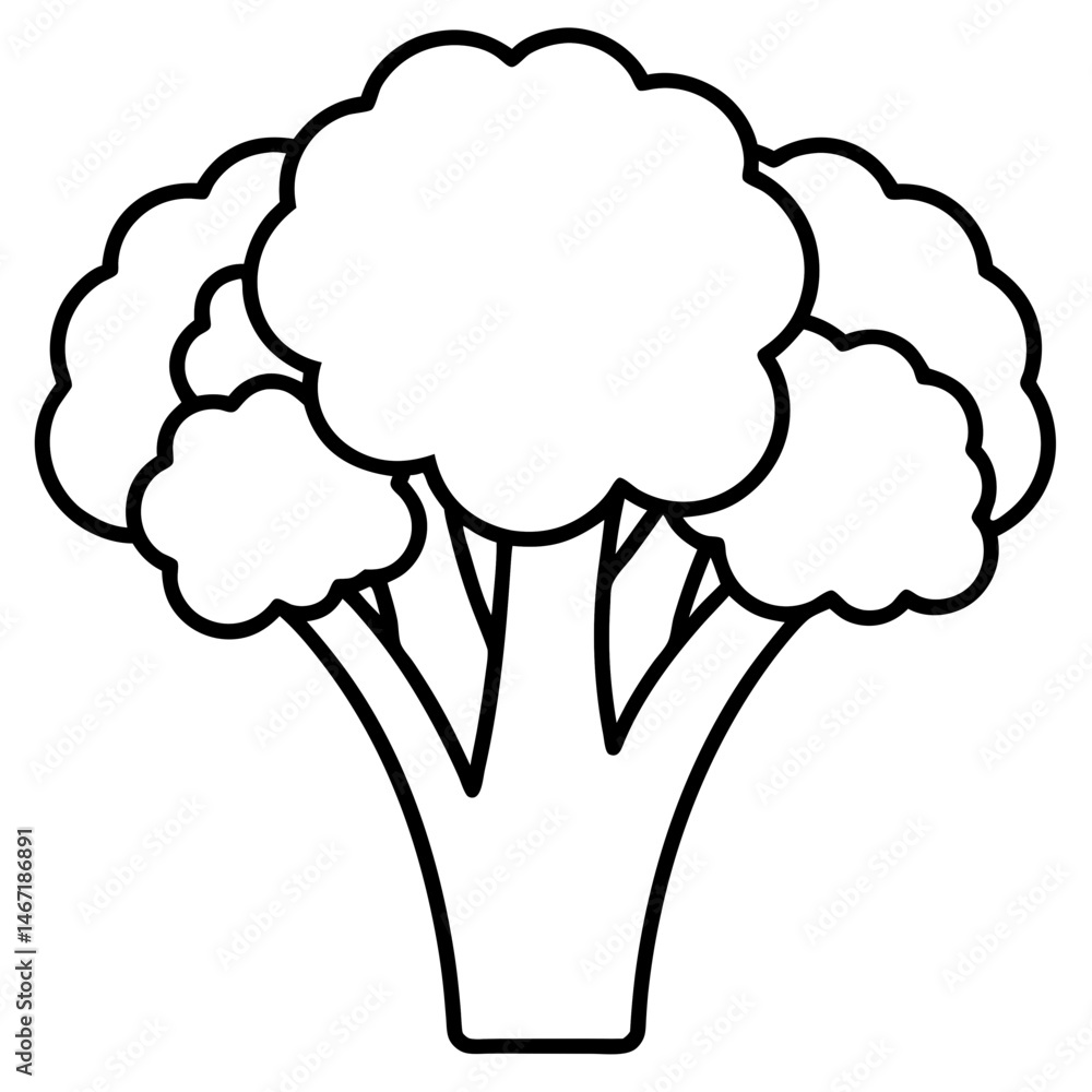 Broccoli icon vector Broccoli icon vector