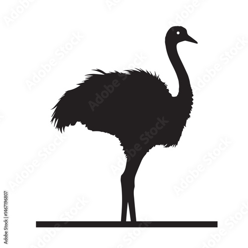 ostrich emu bird silhouette, black and white silhouette, vector and illustration