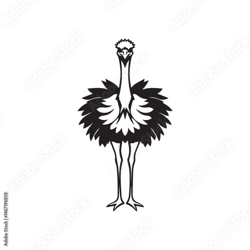 ostrich emu bird silhouette, black and white silhouette, vector and illustration