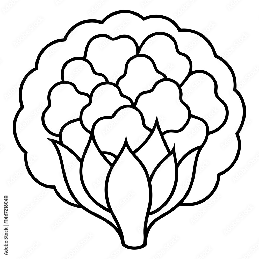 Obraz premium Cauliflower icon line art vector