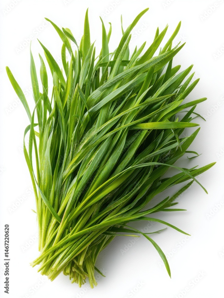 Fototapeta premium Fresh green grass and vibrant leaves isolated on a bright background. The details of the grass blades showcase freshness and vitality
