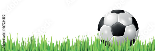 Soccer ball on grass. 3d vector illustration isolated on white background.