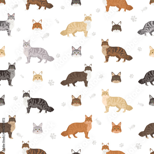 Norwegian Forest Cat clipart. All coat colors set.  All cat breeds characteristics infographic. Vector illustration