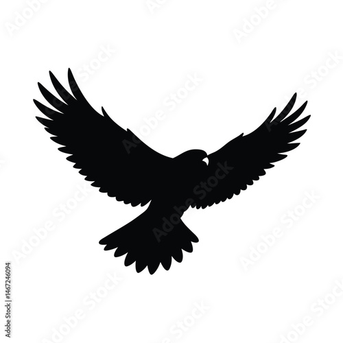 Red Tailed Hawk Flying Vector Silhouette