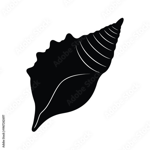 Conch Shell Vector Silhouette Art