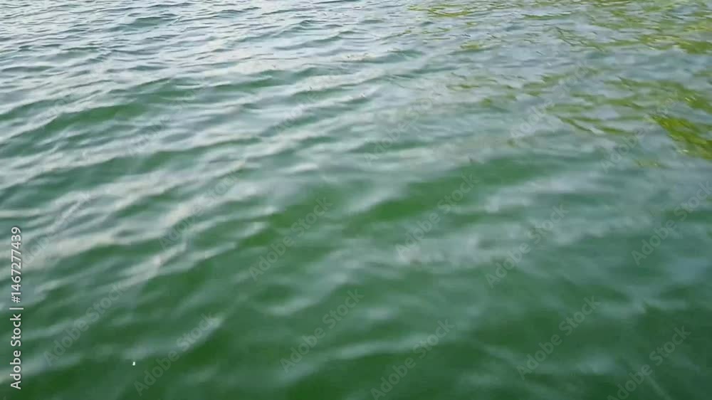 water flowing into the sea water flowing into the sea