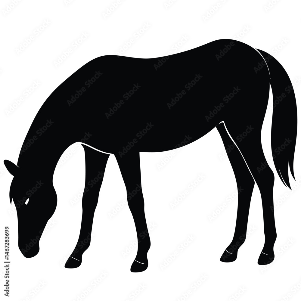 Obraz premium Majestic Horse Silhouette Elegant Black and White Equine Illustration