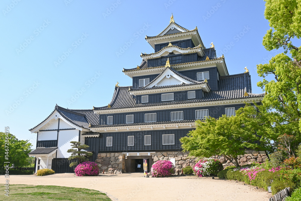 Obraz premium 岡山城・天守閣