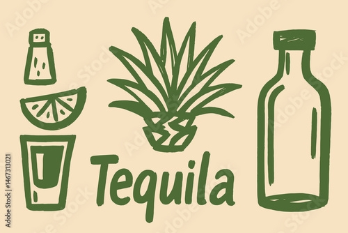 Tequila bottle and agave hand drawn sketch icon
