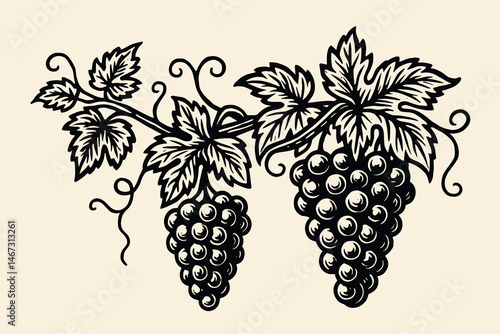 Grape bunch with leaves black on white vintage icon