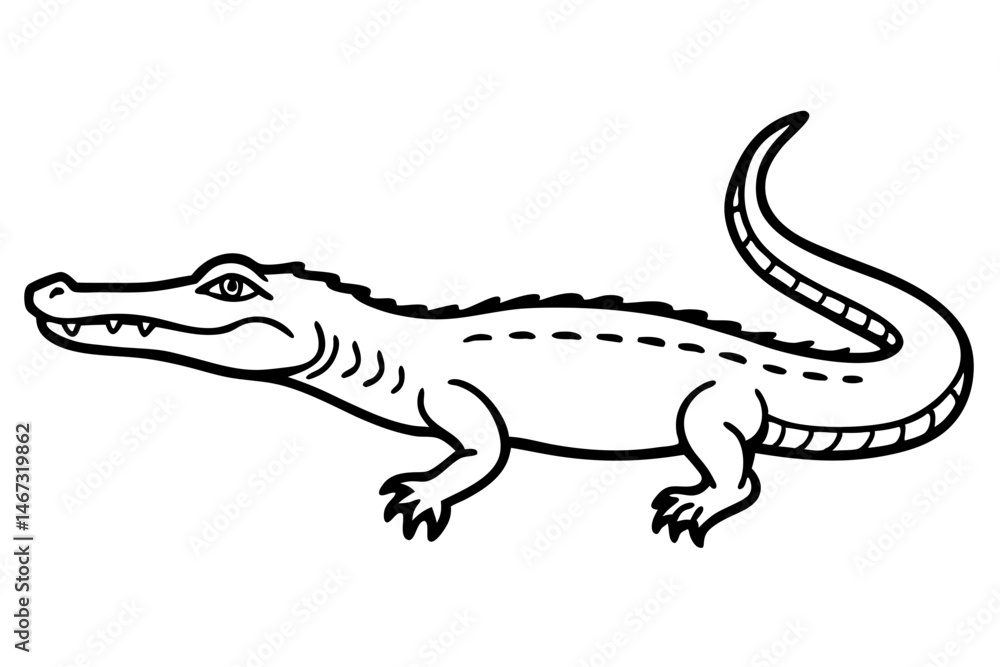 Fototapeta premium Wild Crocodile Vector Sketch