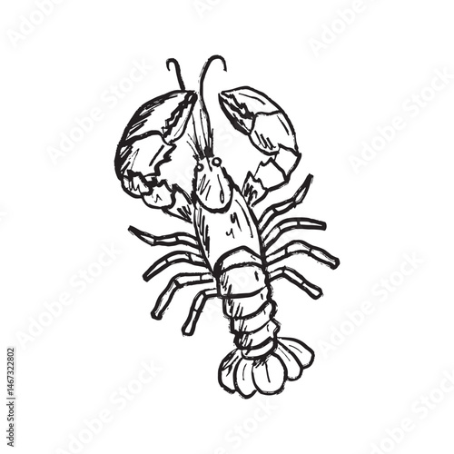 Lobster design in black brush stroke texture isolated on white. Hand drawn vector sketch illustration in vintage charcoal ink. Marine animal, underwater life, exotic seafood drawing