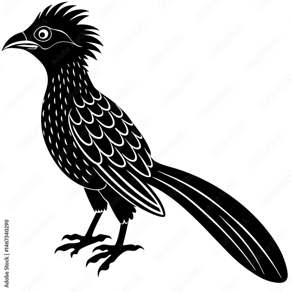 Fototapeta premium koel bird silhouette