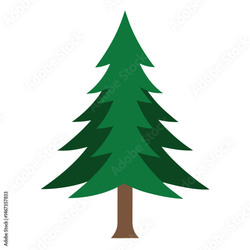 Pine Tree Evergreen Illustration