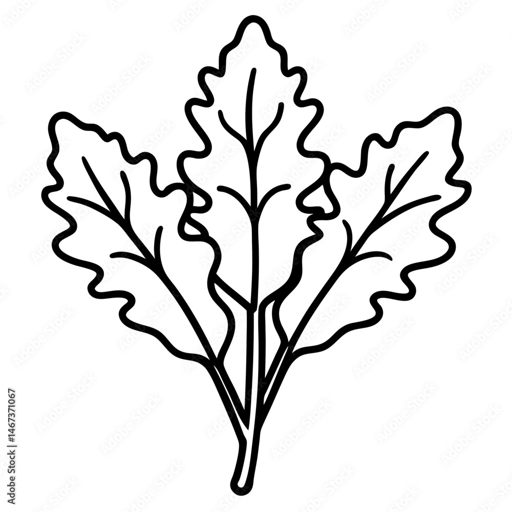 Fototapeta premium Arugula icon art vector
