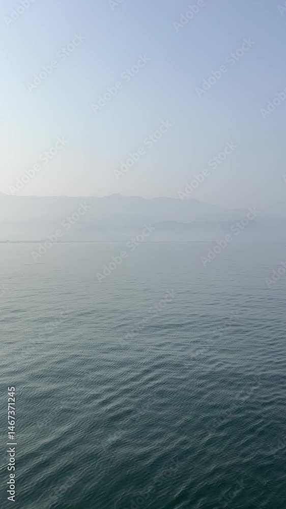 fog on the lake fog on the lake