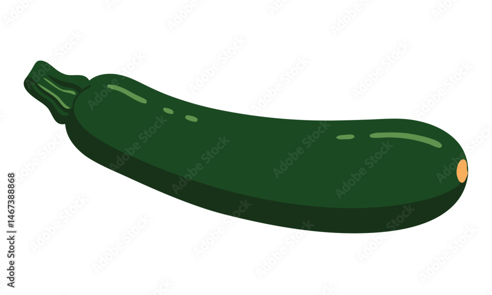 Fresh Zucchini Vegetable Isolated on White Background for Culinary and Dietary Use Fresh Zucchini Vegetable Isolated on White Background for Culinary and Dietary Use