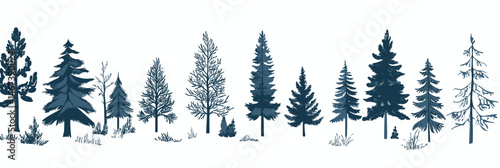 Minimalist flat vector illustration of diverse evergreen conifer trees in winter snow landscape isolated on white background with pine, fir, spruce silhouettes and sparse grass tufts