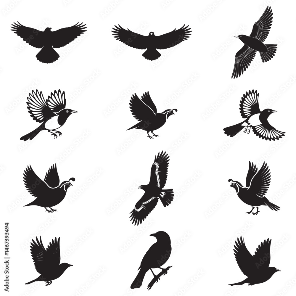 Obraz premium Dynamic Bird Vector Set with Flying, Perching, and Standing Poses in Bold Styles A stunning collection of birds in energetic poses, ideal for creating impactful wildlife and nature designs .Thank You.