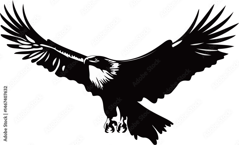 Obraz premium Black Eagle Descending with Open Wings