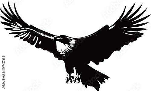 Black Eagle Descending with Open Wings