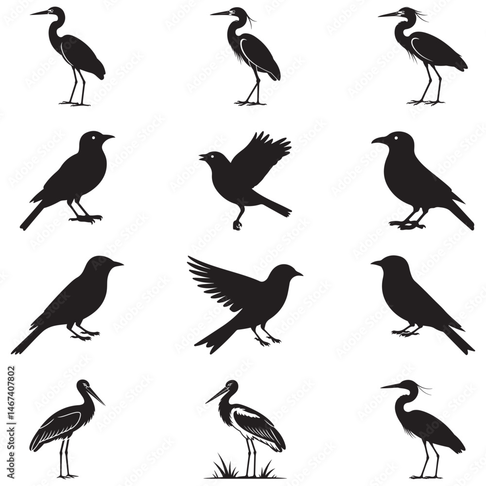 Obraz premium Dynamic Bird Vector Set with Flying, Perching, and Standing Poses in Bold Styles A stunning collection of birds in energetic poses, ideal for creating impactful wildlife and nature designs .Thank You.