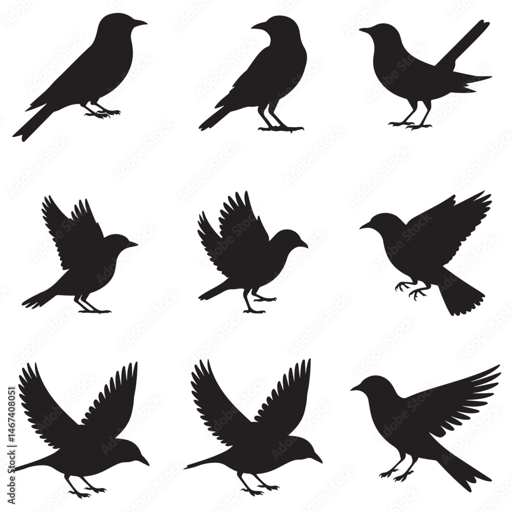 Dynamic Bird Vector Set with Flying, Perching, and Standing Poses in Bold Styles A stunning collection of birds in energetic poses, ideal for creating impactful wildlife and nature designs .Thank You. Dynamic Bird Vector Set with Flying, Perching, and Standing Poses in Bold Styles A stunning collection of birds in energetic poses, ideal for creating impactful wildlife and nature designs .Thank You.