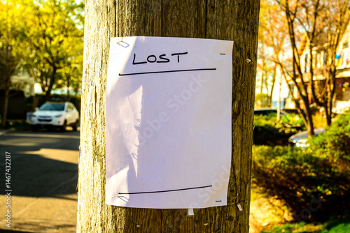 Blank lost  handbill stapled to a wooden utility pole out of focus street scene in background room for text white paper 8.5 by 11 blank