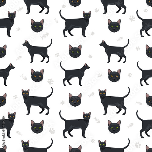 Pantherette Cat clipart. All coat colors set.  All cat breeds characteristics infographic. Vector illustration
