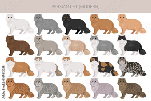 Persian Cat longhaired clipart. Modern type persian cat. All coat colors set.  All cat breeds characteristics infographic. Vector illustration