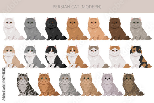 Persian Cat longhaired clipart. Modern type persian cat. All coat colors set.  All cat breeds characteristics infographic. Vector illustration