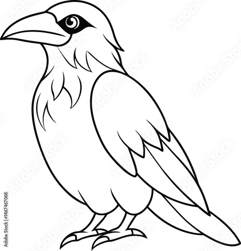 hand drawn crow outline illustration 