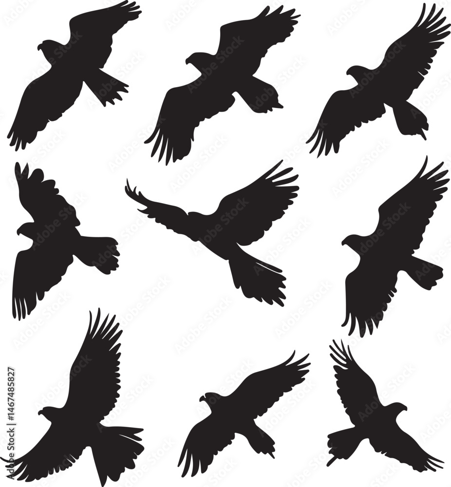 Obraz premium Black Eagle Silhouettes in Flight, Vector Illustration, Wildlife Art