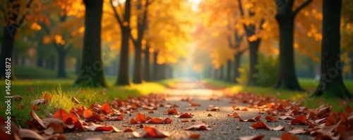 Autumn leaves, blurred park path, bokeh effect,  trees,  october