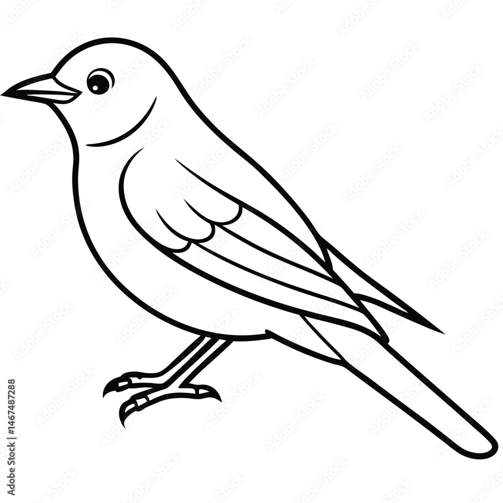 Obraz premium Simple Bluebird Line Art Illustration Isolated White Background