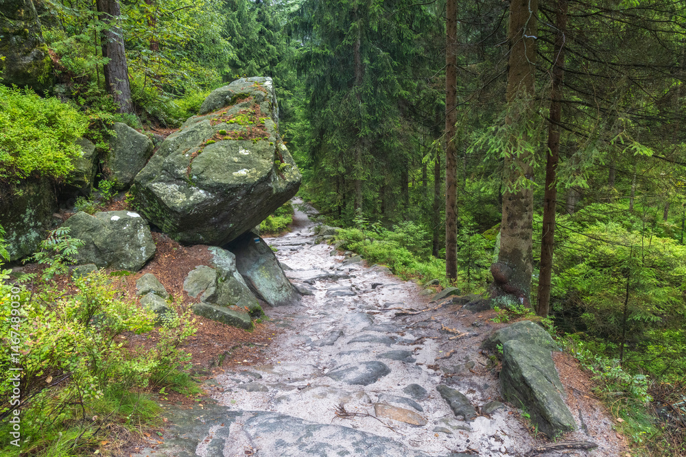 Fototapeta premium Landscape of Adrspach-Teplice Rocks area, in Hradec Kralove Region in the Czech Republic, Europe. Forest path with mossy rocks and lush greenery, providing an adventurous hiking trail experience.