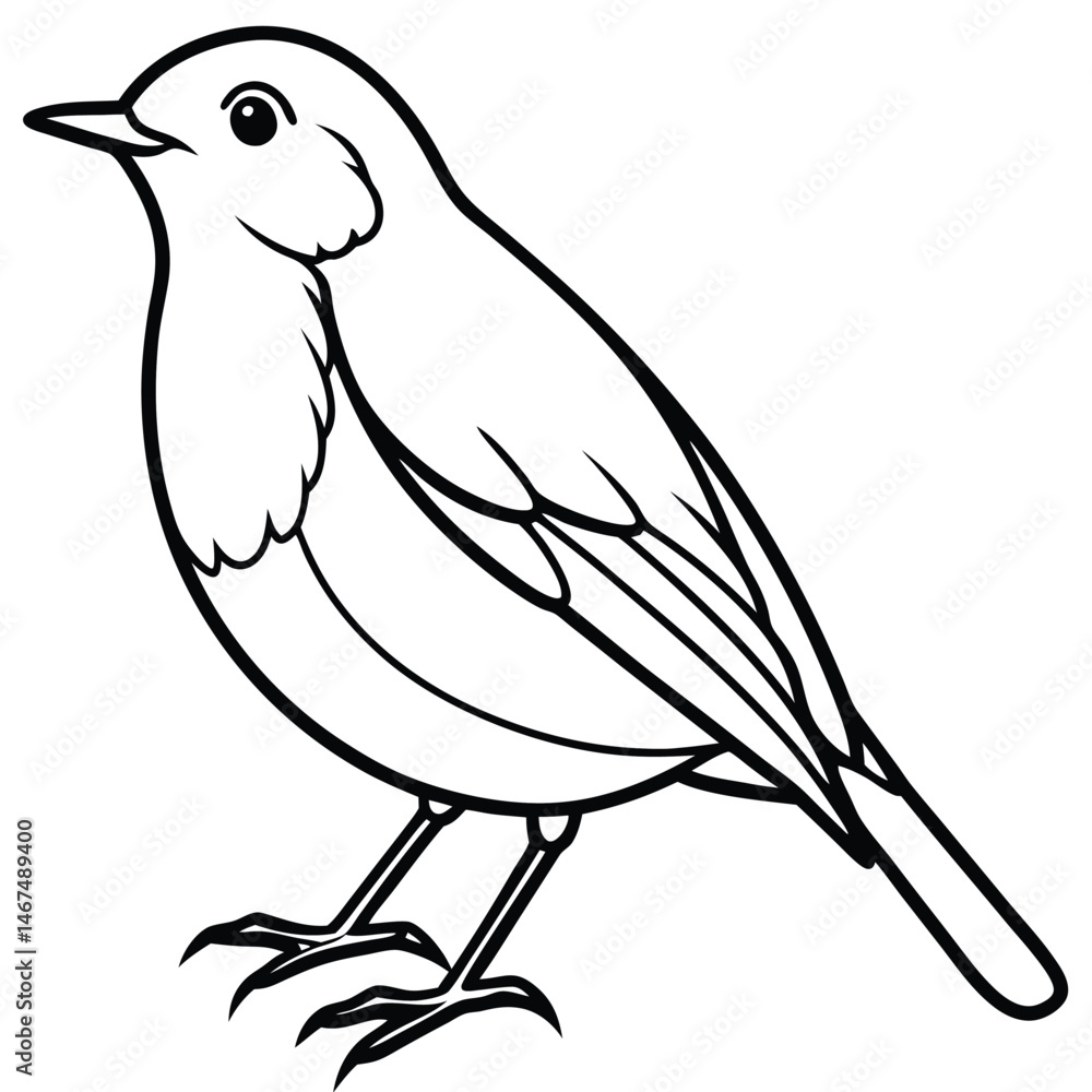 Obraz premium European Robin Line Art Elegant Bird Illustration for Backgrounds