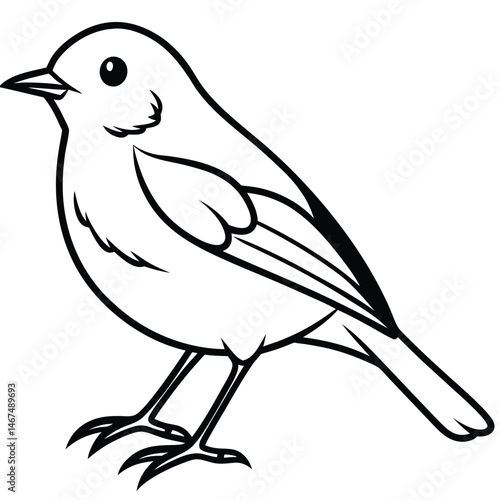 European Robin Line Art Isolated Bird Illustration for Backgrounds