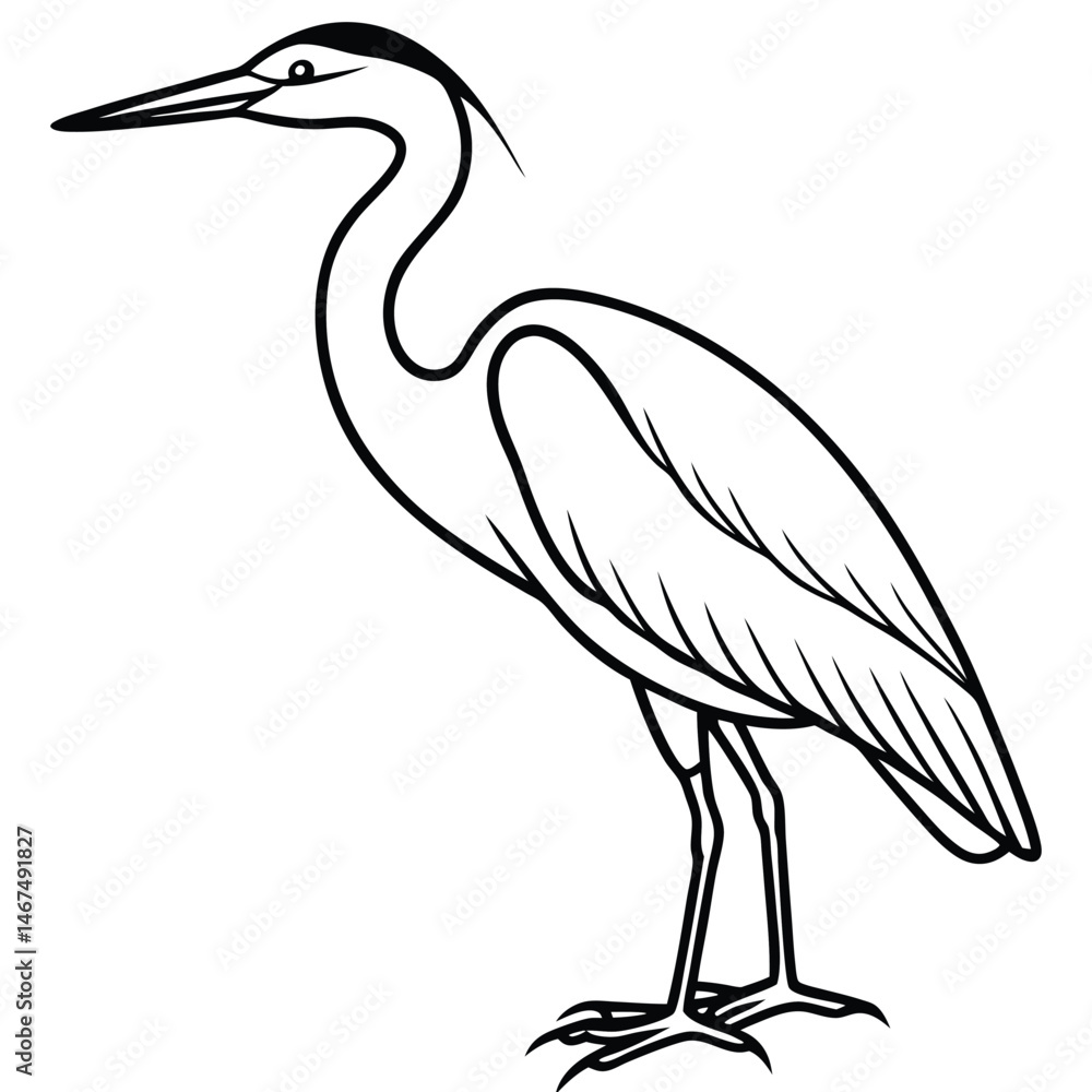 Fototapeta premium Elegant Heron Line Art Illustration Isolated White Background