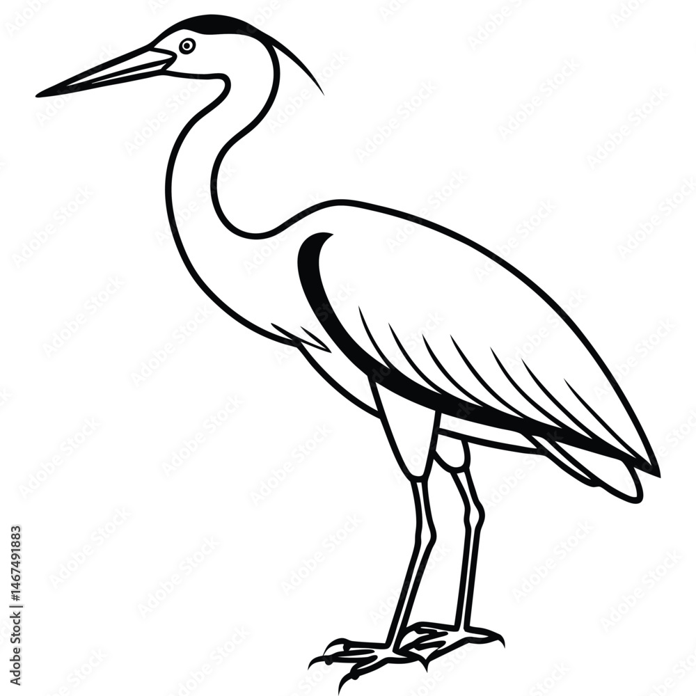 Fototapeta premium Elegant Heron Line Art Illustration Isolated White Background