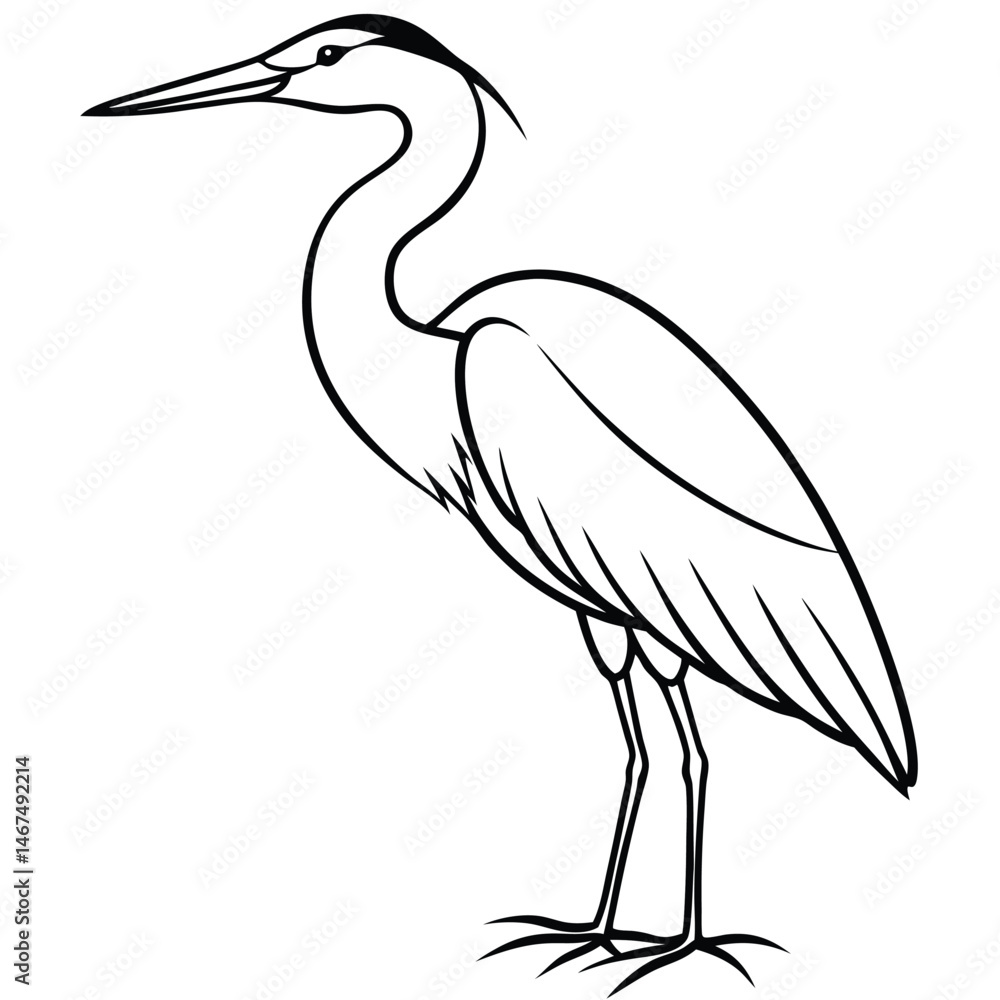 Fototapeta premium Elegant Heron Line Art Isolated Bird Illustration for Backgrounds