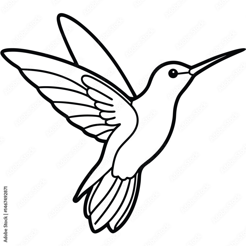 Fototapeta premium Elegant Hummingbird Line Art Isolated White Background Illustration